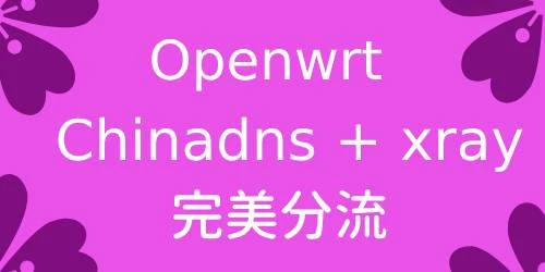 chinadns + xray + iptables 完美解决软路由 openwrt 分流问题
